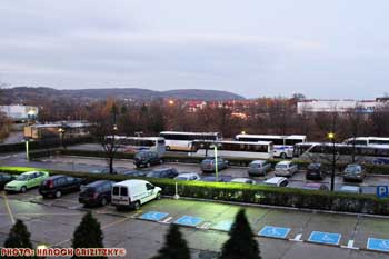 IMG_ (11856)